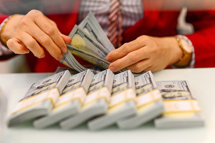 Bán ngoại tệ can thiệp, hạ nhiệt tỉ giá- Ảnh 1. Từ 19-4, Ngân hàng Nhà nước bắt đầu bán ngoại tệ để can thiệp thị trường theo hình thức giao ngay vào các ngày làm việc trong tuần - Ảnh: QUANG ĐỊNH